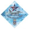 Colnect-595-837-75-Years-Chilean-Air-Force.jpg