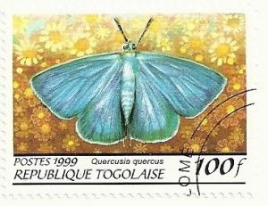 Colnect-1398-974-Purple-Hairstreak-Quercusia-querqus.jpg