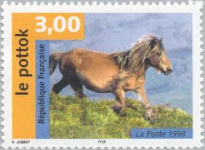 Colnect-146-604-Pottok-Horse-Equus-ferus-caballus.jpg