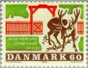 Colnect-156-453-Red-Deer-in-J%C3%A6gersborg-Deer-Park--Cervus-elaphus.jpg