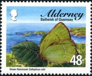 Colnect-3994-528-Green-Hairstreak-Callophrys-rubi-.jpg