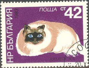 Colnect-615-198-Colorpoint-Persian-Felis-silvestris-catus.jpg