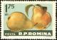 Colnect-4945-276-Pears-Pyrus-domestica.jpg