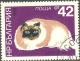 Colnect-615-198-Colorpoint-Persian-Felis-silvestris-catus.jpg