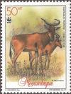 Colnect-1122-556-Lichtenstein--s-Hartebeest-Alcelaphus-lichtensteini-.jpg