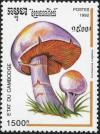 Colnect-2049-770-Cortinarius-traganus.jpg