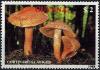 Colnect-2929-824-Cortinarius-laniger.jpg