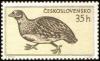 Colnect-451-358-Grey-Partridge-Perdix-perdix.jpg