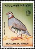 Colnect-1347-817-Barbary-Partridge%C2%A0Alectoris-barbara.jpg