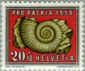 Colnect-140-070-Ammonite-Orthosphinctes-laufenensis.jpg