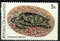 Colnect-2076-437-Hawksbill-Turtle-Eretmochelys-imbricata.jpg