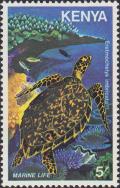 Colnect-2212-833-Hawksbill-Turtle-Eretmochelys-imbricata.jpg