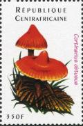 Colnect-3012-792-Cortinarius-obtusus.jpg