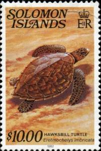 Colnect-3964-446-Hawksbill-Turtle-Eretmochelys-imbricata.jpg