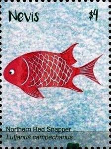 Colnect-5164-935-Northern-Red-Snapper.jpg