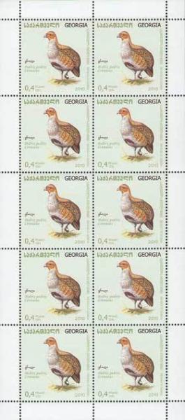 Colnect-1107-675-Grey-Partridge%C2%A0Perdix-perdix.jpg