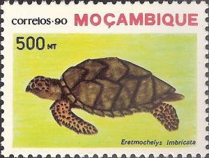 Colnect-1122-355-Hawksbill-Turtle-Eretmochelys-imbricata.jpg