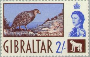 Colnect-120-022-Barbary-Partridge-Alectoris-barbara.jpg