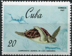 Colnect-2335-256-Hawksbill-Turtle-Eretmochelys-imbricata.jpg