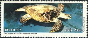 Colnect-3281-900-Hawksbill-Turtle-Eretmochelys-imbricata.jpg