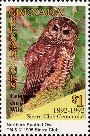 Colnect-4373-721-Northern-spotted-owl.jpg