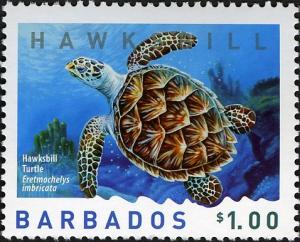 Colnect-5132-339-Hawksbill-Turtle-Eretmochelys-imbricata.jpg