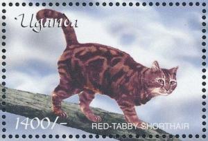 Colnect-6075-884-Red-Tabby-Shorthair-Felis-silvestris-catus.jpg