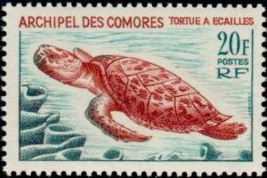 Colnect-787-720-Hawksbill-Turtle-Eretmochelys-imbricata.jpg