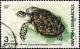 Colnect-1339-166-Hawksbill-Turtle-Eretmochelys-imbricata.jpg