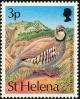 Colnect-1661-831-Chukar-Partridge-Alectoris-chukar.jpg