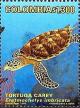 Colnect-3392-466-Hawksbill-turtle-Eretmochelys-imbricata.jpg