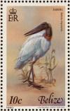 Colnect-1594-227-Jabiru-Jabiru-mycteria-.jpg