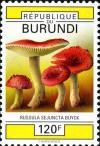 Colnect-2048-477-Russula-sejuncta.jpg