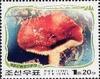 Colnect-2330-896-Russula-integra.jpg