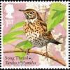 Colnect-4271-523-Song-Thrush-Turdus-philomelos.jpg