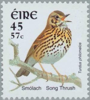 Colnect-129-838-Song-Thrush-Turdus-philomelos.jpg