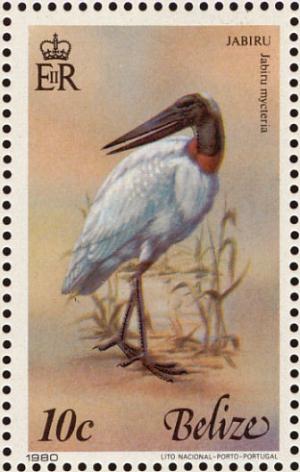 Colnect-1594-227-Jabiru-Jabiru-mycteria-.jpg