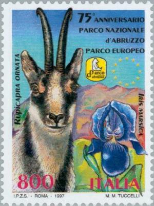 Colnect-180-370-Abruzzo-Chamois-Rupicapra-ornata-Iris-marsica-.jpg