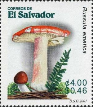 Colnect-1816-267-Russula-emetica.jpg