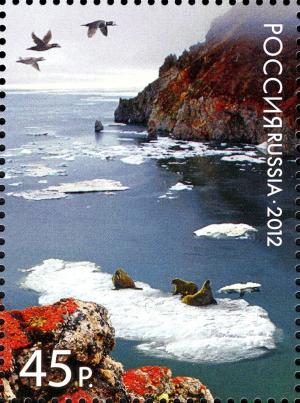 Colnect-2133-231-Walrus-Odobenus-rosmarus-on-Ice-Floes-in-a-Bay-of-Wrangel-.jpg