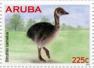 Colnect-3136-432-Ostrich-Struthio-camelus---juvenile.jpg