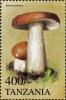 Colnect-3277-788-Russula-paludosa.jpg