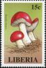 Colnect-3120-036-Russula-emetica.jpg