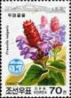 Colnect-2289-198-Prunella-vulgaris.jpg