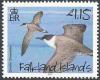 Colnect-2189-315-Greater-Shearwater-nbsp-Puffinus-gravis.jpg