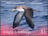 Colnect-6359-412-Cory-s-Shearwater-Calonectris-borealis.jpg