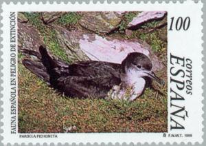 Colnect-181-538-Manx-Shearwater-Puffinus-puffinus.jpg