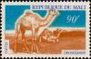 Colnect-2354-760-Dromedary-Camelus-dromedarius.jpg