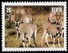 Colnect-4493-645-Beisa-Oryx-Oryx-gazella-beisa.jpg