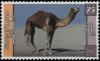 Colnect-5528-526-Dromedary-Camelus-dromedarius.jpg